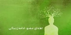 اهدای اعضای بدن پسر جوانی از توابع لامرد، به بیماران نیازمند پیوند عضو ، جان دوباره بخشید